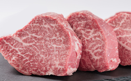 愛知県半田市 知多牛ヒレステーキ500g【配送不可地域:離島・北海道・沖縄県・東北・中国・四国・九州】【1542919】