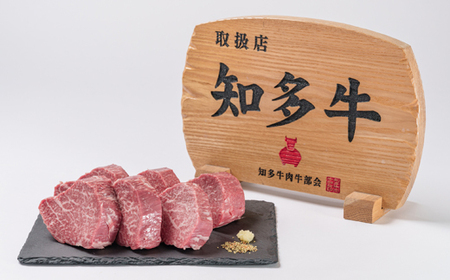 愛知県半田市　知多牛ヒレステーキ1kg【配送不可地域：離島・北海道・沖縄県・東北・中国・四国・九州】【1542921】