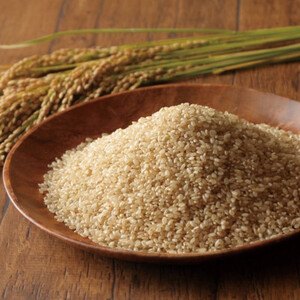 令和7年産　稲穂のしずく　玄米　30kg【1685068】 25,200円