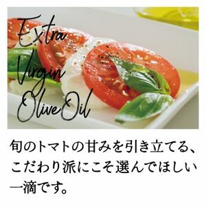 厳選イタリア産エキストラバージンオリーブオイル450g【1701277】