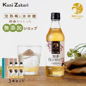 國盛ファーム 梅シロップ 3本セット【1720874】