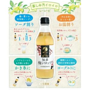 國盛ファーム 梅シロップ 3本セット【1720874】