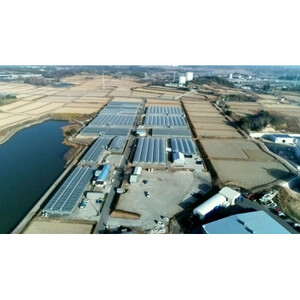 【愛知県半田市の市野園芸】いちご狩り招待券4名様【1402966】