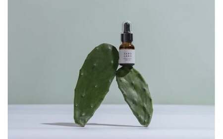 【春日井市産サボテンコスメ】ウチワサボテンオイル100% 美容 日用品 コスメ サボテン オイル 保湿 スキンケア 天然由来 時短ケア うるおい べたつかない