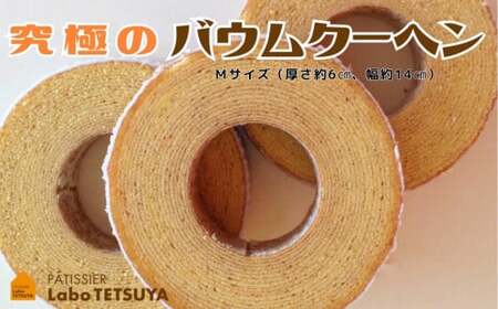 パティシエ・ラボ・テツヤ特製 バウムクーヘン・TSUMI-KI（ソフト）Mサイズ　バームクーヘン TSUMI-KI「ソフト」 テツヤロール 生クリーム しっとり ギフト スイーツ 焼き菓子 洋菓子 お菓子 ギフト プレゼント 贈り物 春日井市