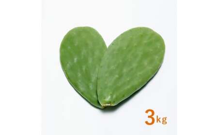 あなたのカメに、自然のごちそうを。食べるサボテン「かめはめ葉」（3㎏）　カメのエサ サボテン 3kg ペット用品 ペット 餌 エサ カメ 亀 亀のエサ 国産