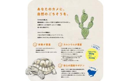 あなたのカメに、自然のごちそうを。食べるサボテン「かめはめ葉」（3㎏）　カメのエサ サボテン 3kg ペット用品 ペット 餌 エサ カメ 亀 亀のエサ 国産