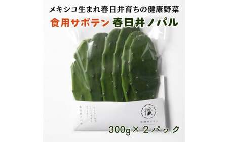 メキシコ生まれ春日井育ちの健康野菜 食べるサボテン 春日井ノパル 300グラム×2パック | サボテン 多肉植物 ウチワサボテン 食用サボテン ノパル ノパール ノパレス NOPAL スーパーフード ダイエット 腸活 ビーガン メキシコ メキシカン タコス TACOS 野菜 後藤サボテン 愛知県 春日井市 ※2026年4月上旬～12月上旬頃に順次発送予定