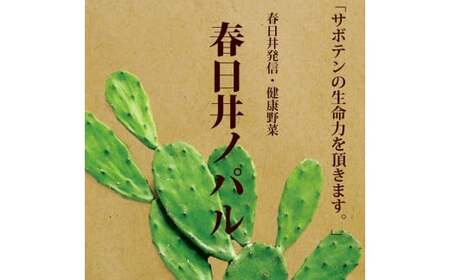 メキシコ生まれ春日井育ちの健康野菜 食べるサボテン 春日井ノパル 300グラム×2パック | サボテン 多肉植物 ウチワサボテン 食用サボテン ノパル ノパール ノパレス NOPAL スーパーフード ダイエット 腸活 ビーガン メキシコ メキシカン タコス TACOS 野菜 後藤サボテン 愛知県 春日井市 ※2026年4月上旬～12月上旬頃に順次発送予定