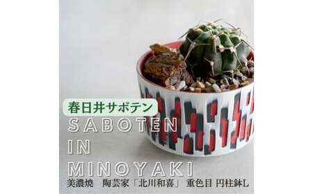多治見市×春日井市コラボ 【美濃焼】 陶芸家「北川和喜」 重色目 円柱鉢L × 【日本有数のサボテン産地】 春日井市の名店 後藤サボテン