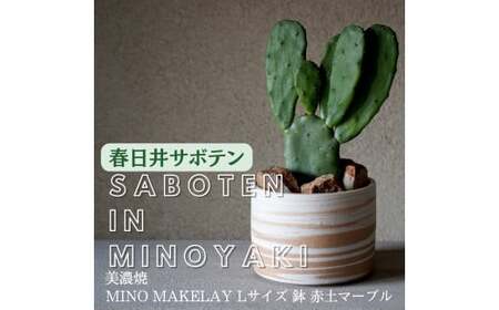 多治見市×春日井市コラボ 【美濃焼】 MINO MAKELAY Lサイズ 鉢 赤土マーブル × 【日本有数のサボテン産地】 春日井市の名店 後藤サボテン