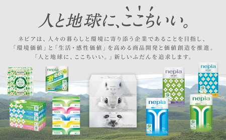 【年内配送】ネピアティシュ フィルムレス 120組　5箱×18パック ネピア
