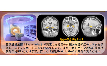 【贈り物にも】トワイライトドック~夕方からの脳の健康診断~