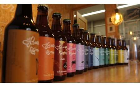 楽器シリーズのクラフトビール（9本セット）