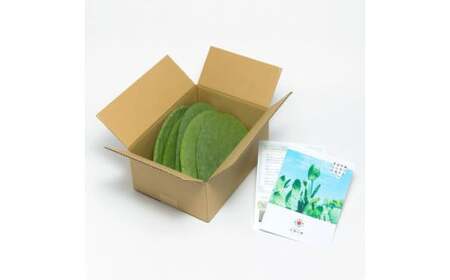 食べるサボテン 太陽の葉 フレッシュリーフ食用サボテン（１kg）