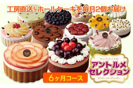 定期便 毎月ケーキが届く アントルメセレクション 6ヶ月コース 愛知県春日井市 ふるさと納税サイト ふるなび