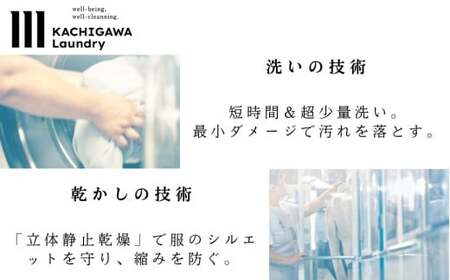 宅配クリーニング　春日井品質プレミアム（10点コース）