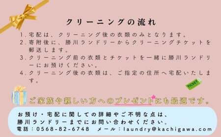 宅配クリーニング　春日井品質プレミアム（10点コース）