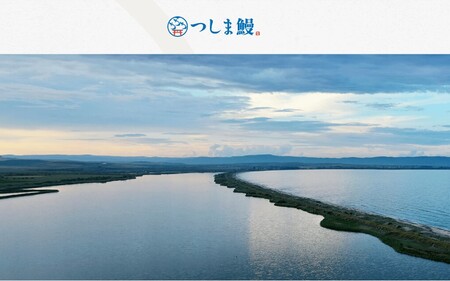 【純国産ウナギ】つしま鰻蒲焼3尾入(450g)