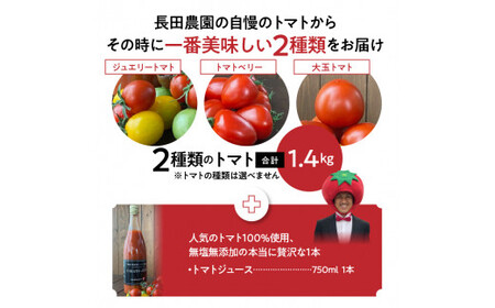 【福箱★2025】 トマトでハッピー！！長田農園の厳選トマト約1.4kg&トマトジュース720ml×1本 福箱 H004-161