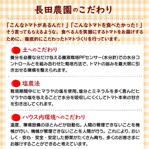 【福箱★2025】 トマトでハッピー！！長田農園の厳選トマト約1.4kg&トマトジュース720ml×1本 福箱 H004-161