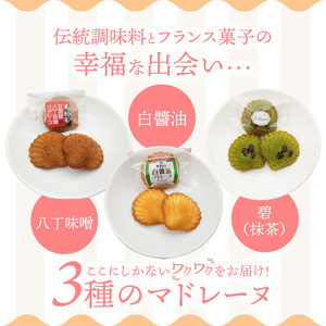 三河物語 三英傑セット～碧南が発祥の白しょう油、三英傑が愛した西尾の抹茶、徳川家康お膝元の八丁味噌を使ったマドレーヌの味くらべセット～18個入り H043-011