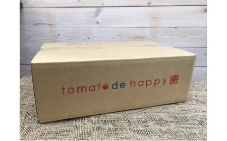 1月～6月毎月発送 　幻のミニトマト トマトベリーの定期便 約700g×6回コース　H004-169