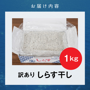 【12月24日受付分まで年内発送】訳あり こモリ1kg!バラエティ豊富な三河しらす~海の仲間たち~ H018-046