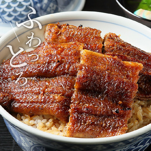 【福箱★2026】(1月発送)三河うなぎ&とんてき 創業100年の小伴天のイチオシ福箱 個数限定 H007-109_Jan