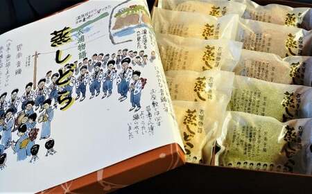 【蒸しどら プレーン 10個入 】和三盆 どら焼き 餡 ふわふわ しっとり食感 H181-004