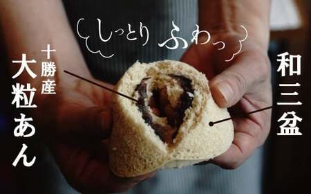 【人気どら焼き2種 10個入】和三盆 蒸しどら（プレーン）× 5 どら焼き(てらどら）×5  餡 ふわふわ しっとり食感 H181-005