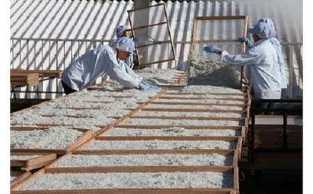 【半年定期便 毎月 全6回】便利! しらす屋のしらす干し 小分けタイプ 630g(70g×9p) 魚介類 しらす シラス 国産 海の幸 ご飯のお供 おつまみ しらす丼 グルメ ギフト 贈り物 やみつき 冷凍 小分け H006-093