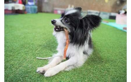 【獣医師手作り】無添加 ペット用 アキレスくんせい (大サイズ) 計300g ジャーキー ストレス解消 歯磨き効果 燻製 犬 猫 やみつき おやつ ご褒美 馬肉アキレスを使用 H191-002