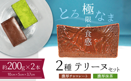 【テリーヌ専門店L】（約２００g）濃厚抹茶・濃厚チョコレート2種のテリーヌセット【グルテンフリー・保存料不使用】抹茶 スイーツ 西尾抹茶 H173-036