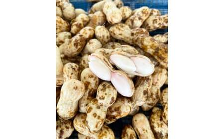 【2026年発送】事前予約 訳あり やみつき極うま “金の生落花生” 塩ゆで専用 1kg(500g×2袋) H105-143