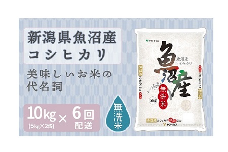 <安心安全なヤマトライス>魚沼産コシヒカリ無洗米 10kg ※定期便6回 H074-107