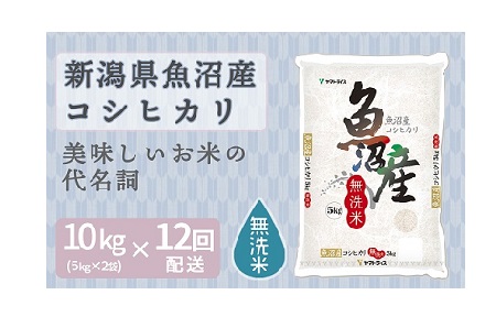 <安心安全なヤマトライス>魚沼産コシヒカリ無洗米 10kg ※定期便12回 H074-109