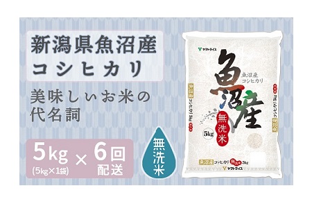 新潟県魚沼産コシヒカリ 無洗米 5kg ※定期便6回 安心安全なヤマトライス H074-106