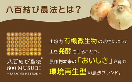 【食品ロス削減】（ 訳あり ）甘さと栄養で体も笑う武ちゃん農場の“ハッピーキャロット” 5㎏　H095-022