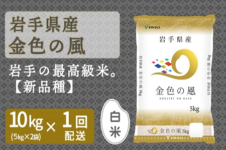 岩手県産金色の風 10kg 安心安全なヤマトライス H074-120