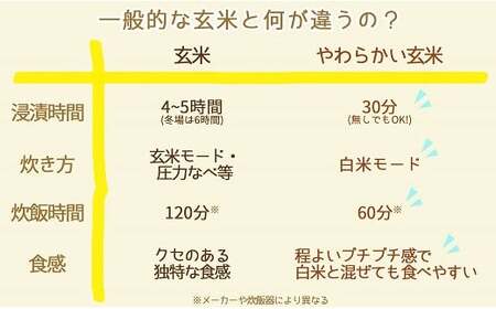 やわらかい玄米 900g×100袋　小分け 米 こめ コメ ごはん 栄養豊富 簡単 便利 美容 健康 新食感 もちもち 安心安全なヤマトライス　H074-634