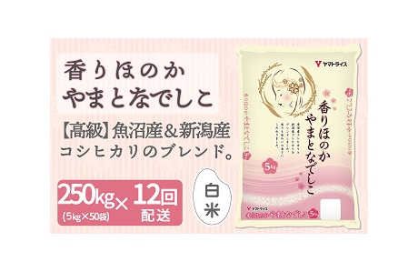 <安心安全なヤマトライス>香りほのか やまとなでしこ5kg×50袋 ※定期便12回 H074-157
