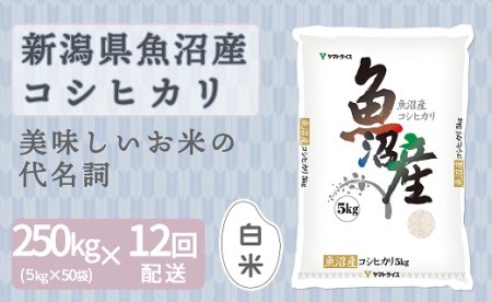 <安心安全なヤマトライス>新潟魚沼産コシヒカリ5kg×50袋 ※定期便12回 H074-143