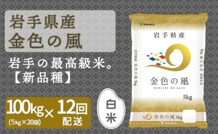 <安心安全なヤマトライス>岩手県産 金色の風5kg×20袋 ※定期便12回 H074-151