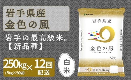 <安心安全なヤマトライス>岩手県産 金色の風5kg×50袋 ※定期便12回 H074-152