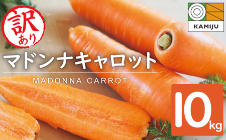 【期間限定】訳あり！こどもも食べられる甘み！「マドンナキャロット」 10kg 大容量 にんじん 人参 ニンジン 野菜 やさい 国産 碧南市 健康 食品ロス削減 甘い 先行予約 旬 特産 高評価 高リピート 人気 H105-147