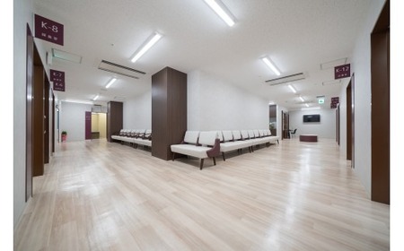 小林記念病院人間ドック（ファーストコース）利用券 1名様分 健診 健康診断 健康 生活習慣病 券 チケット ギフト 贈り物 愛知県 碧南市 H203-002