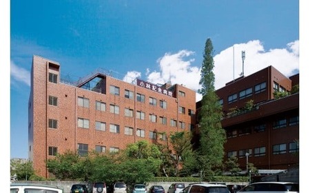 小林記念病院人間ドック（ファーストコース）利用券 1名様分 健診 健康診断 健康 生活習慣病 券 チケット ギフト 贈り物 愛知県 碧南市 H203-002