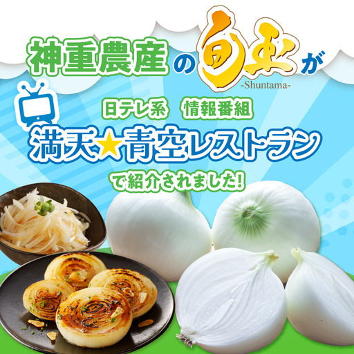 (2026年発送) ≪『満天☆青空レストラン』で紹介されました！≫【お試し】新玉ねぎ 生がおいしい 神重農産のブランド玉ねぎ「旬玉」3kg ブランド玉ねぎ 玉ねぎ 国産 愛知県産 野菜 やさい 農家直送 畑直送 旬 期間限定 たまねぎ 先行予約 旬 特産 高評価 高リピート 人気 H105-174