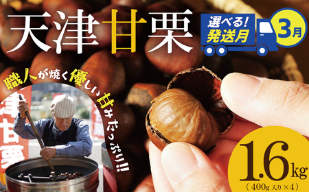 【2026年3月発送】この道50年の職人が焼く､やさしい甘みたっっっぷり！｢天津甘栗｣ 1.6kg  焼きたて 栗 くり 栗爪 殻付き お菓子 おつまみ 人気 高リピート 小分け 栗ご飯 栗きんとん 甘露煮 H045-082_Mar